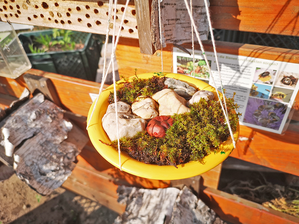 „Swimming-Pool“ und „Getränk-Bar“ für Insekten und Vögel