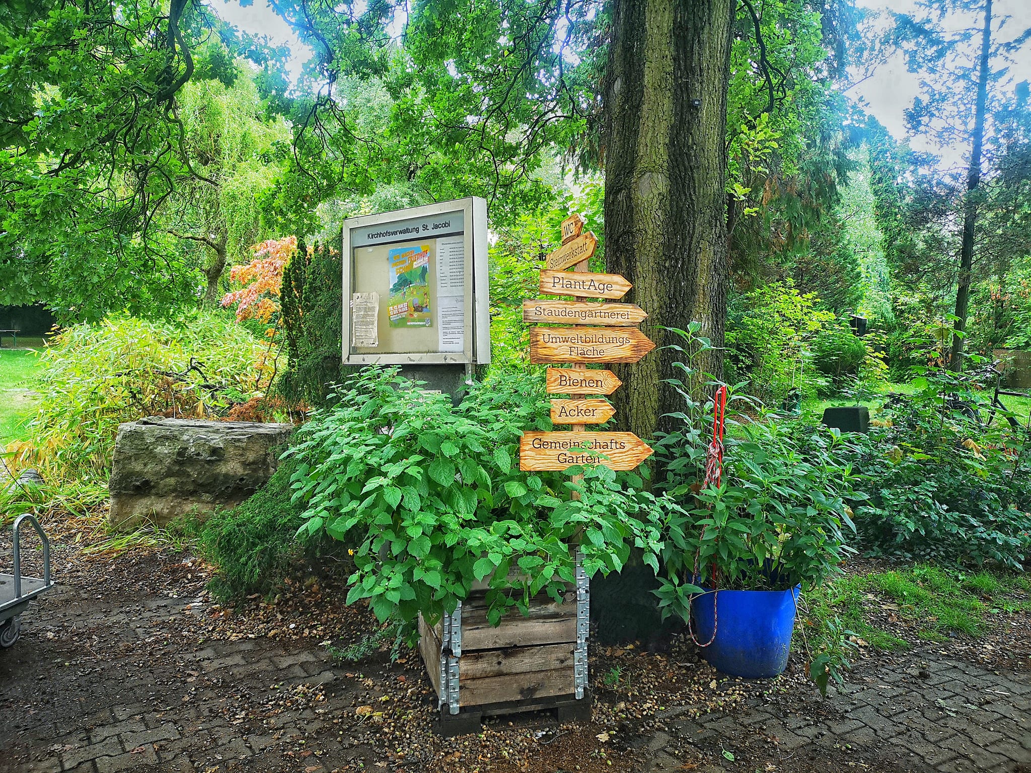 “Urban Gardening Sommercamp” im Prinzessinnengarten Berlin