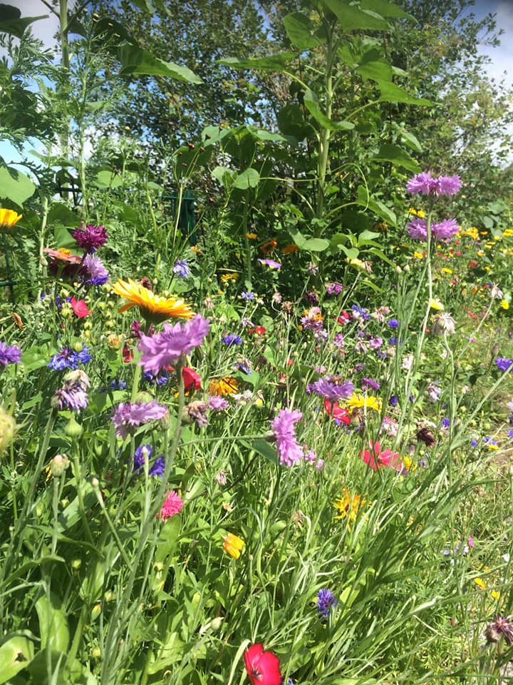 Herbstferienprogramm 2022 vom Jugendhof Brandenburg in Berge
