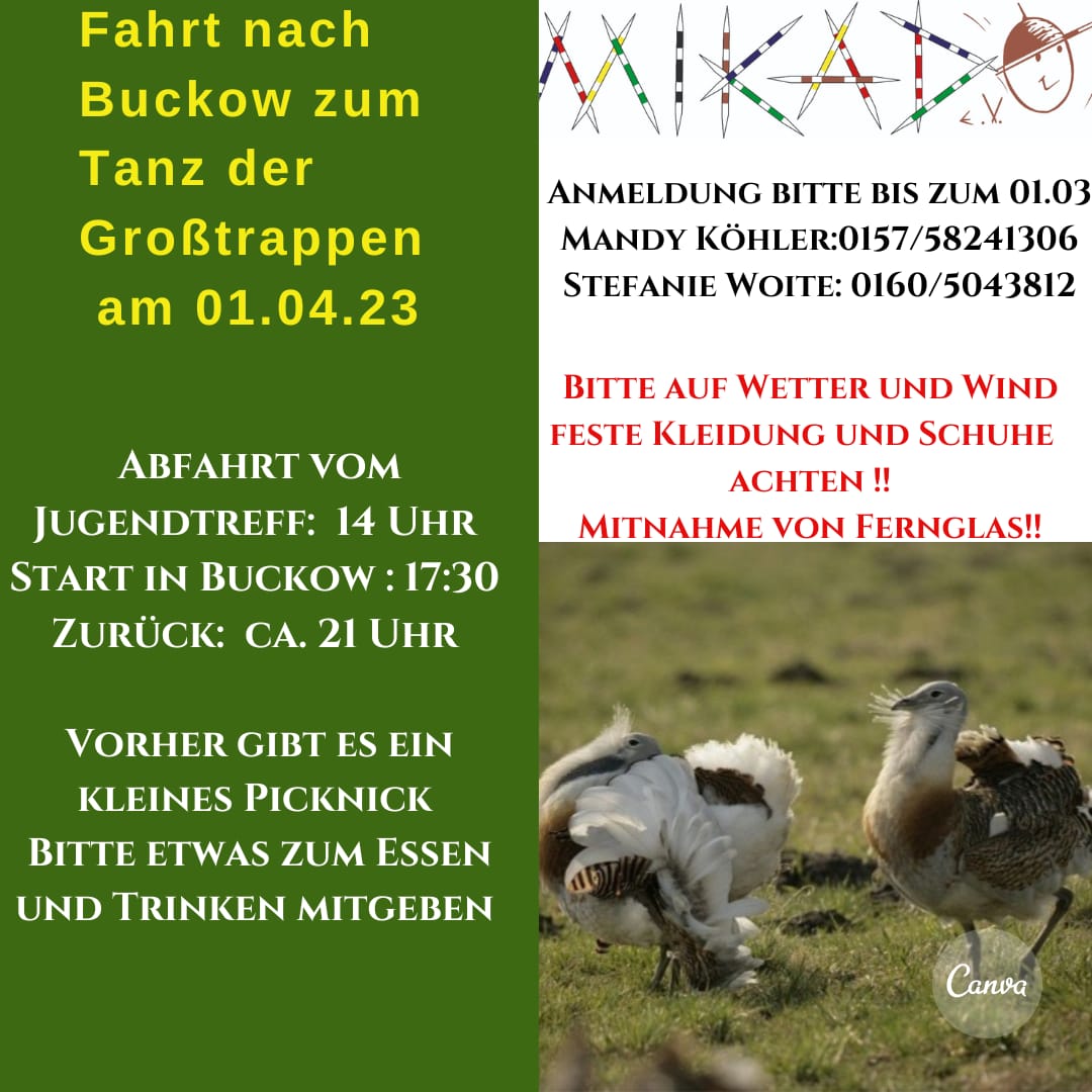 Fahrt nach Buckow zum Tanz der Großtrappen am 01.04.23