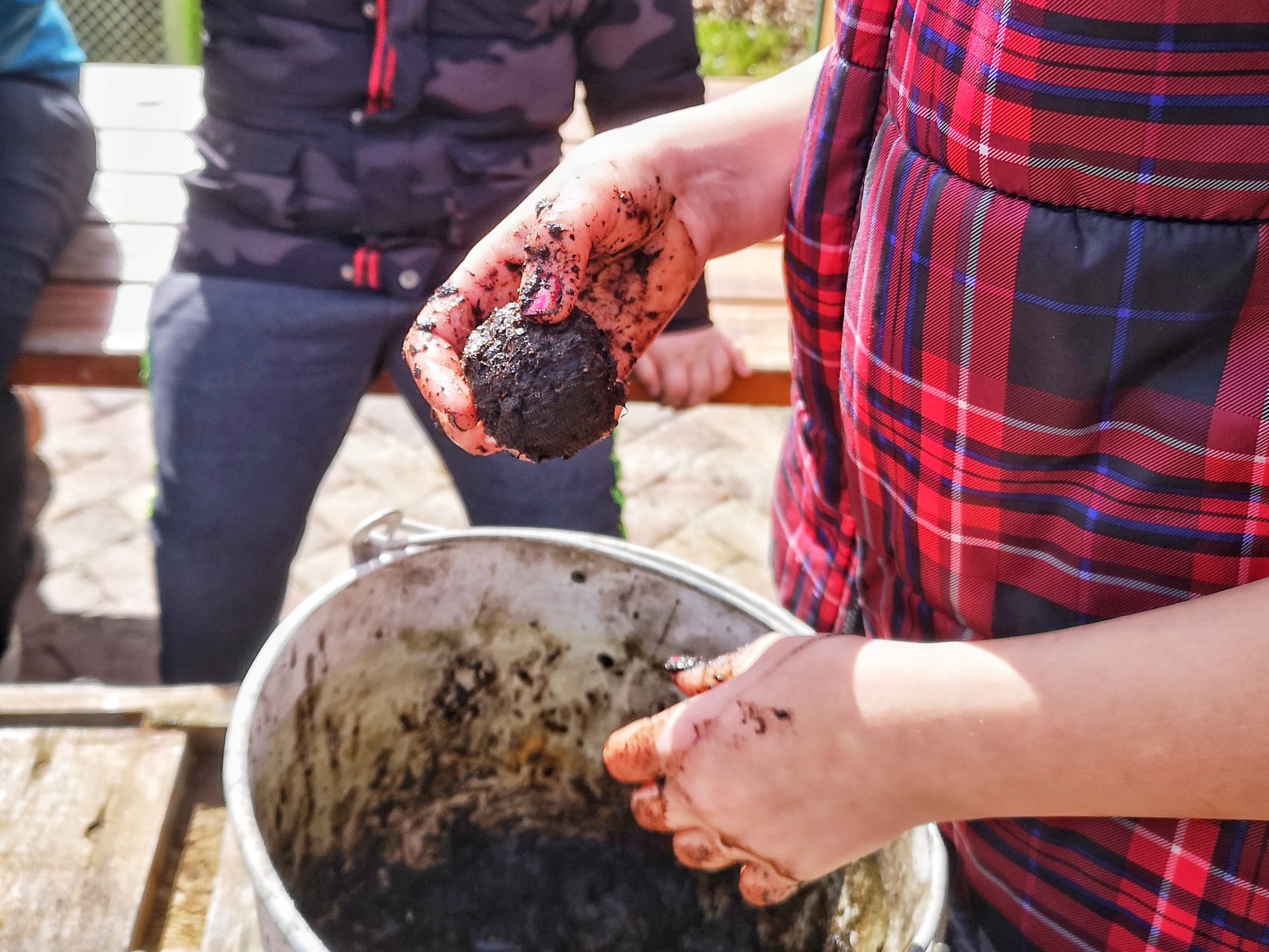 Workshop “Samenbomben für die Wildbiene” am 04.04.23 im “Grünen Eck”