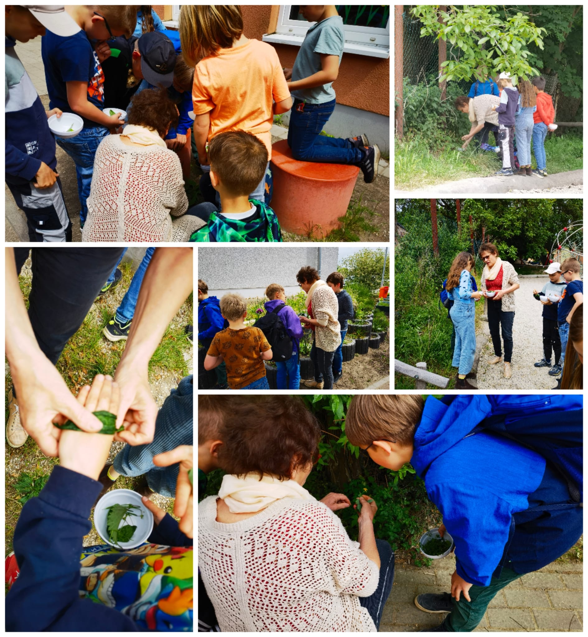 Kräuterkunde auf dem Leonardo da Vinci Campus