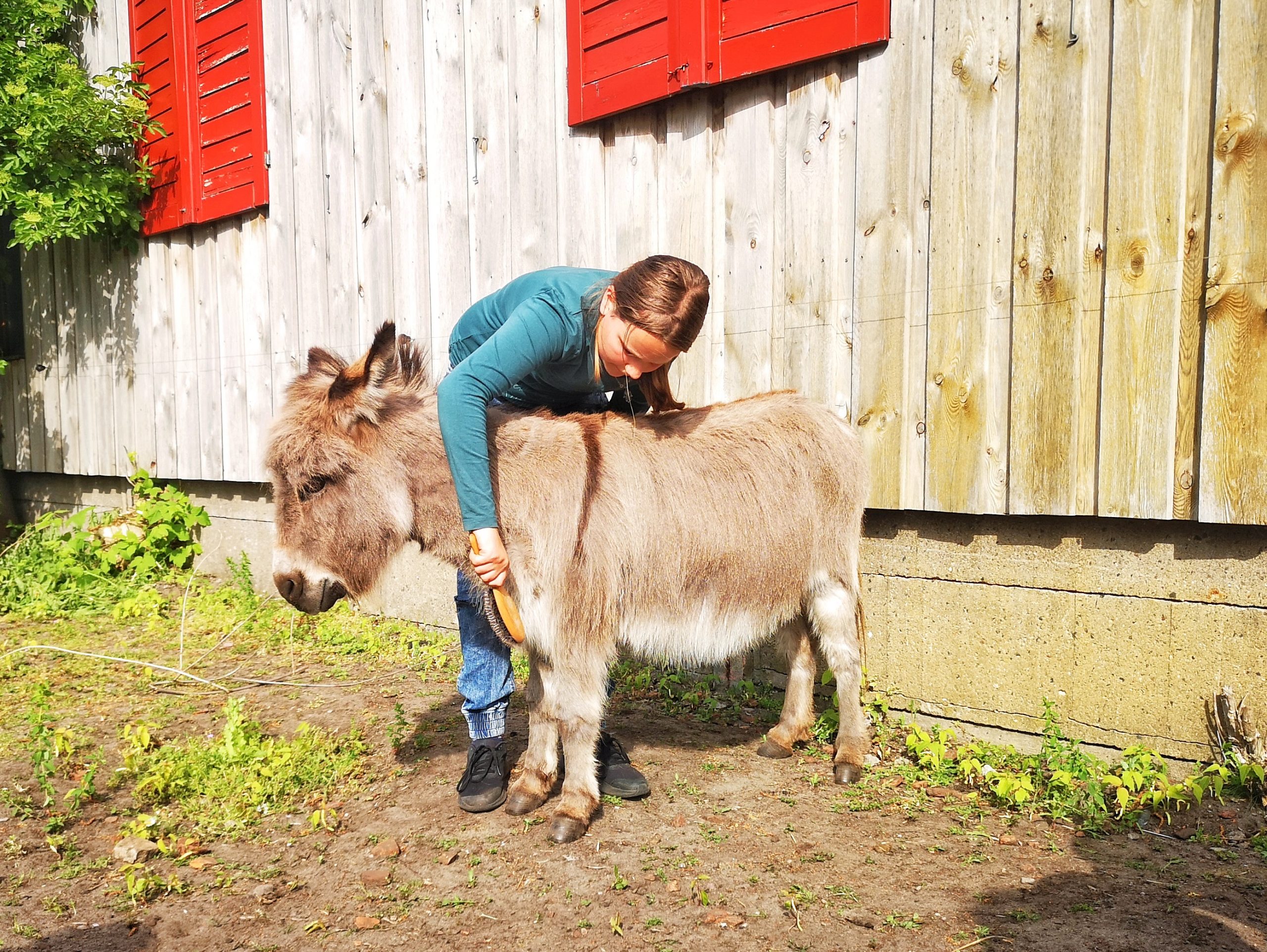 Ausflug zum Eselhof im Hotel Lavendelhof Nauen am 19.05.2023