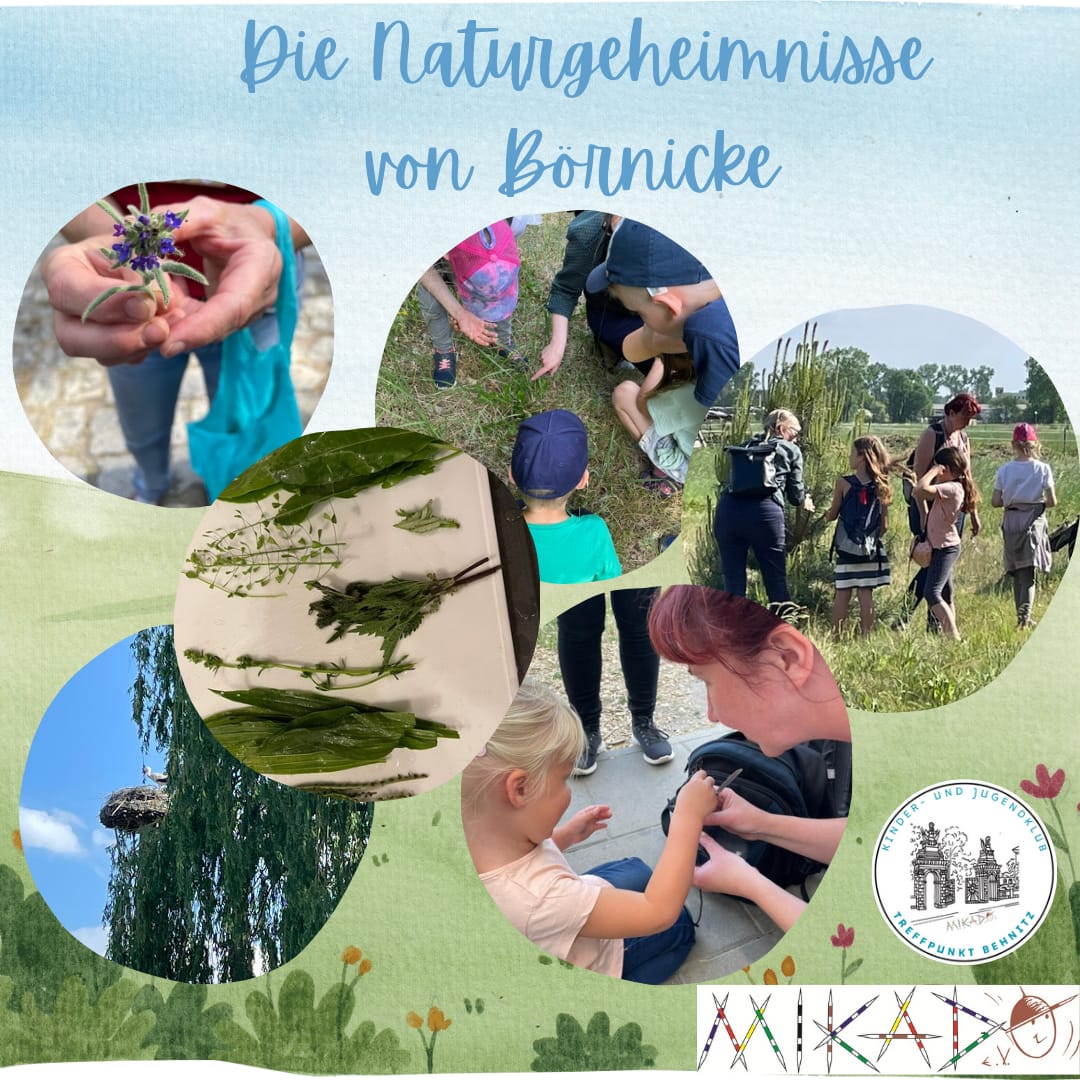 Die Naturgeheimnisse von Börnicke