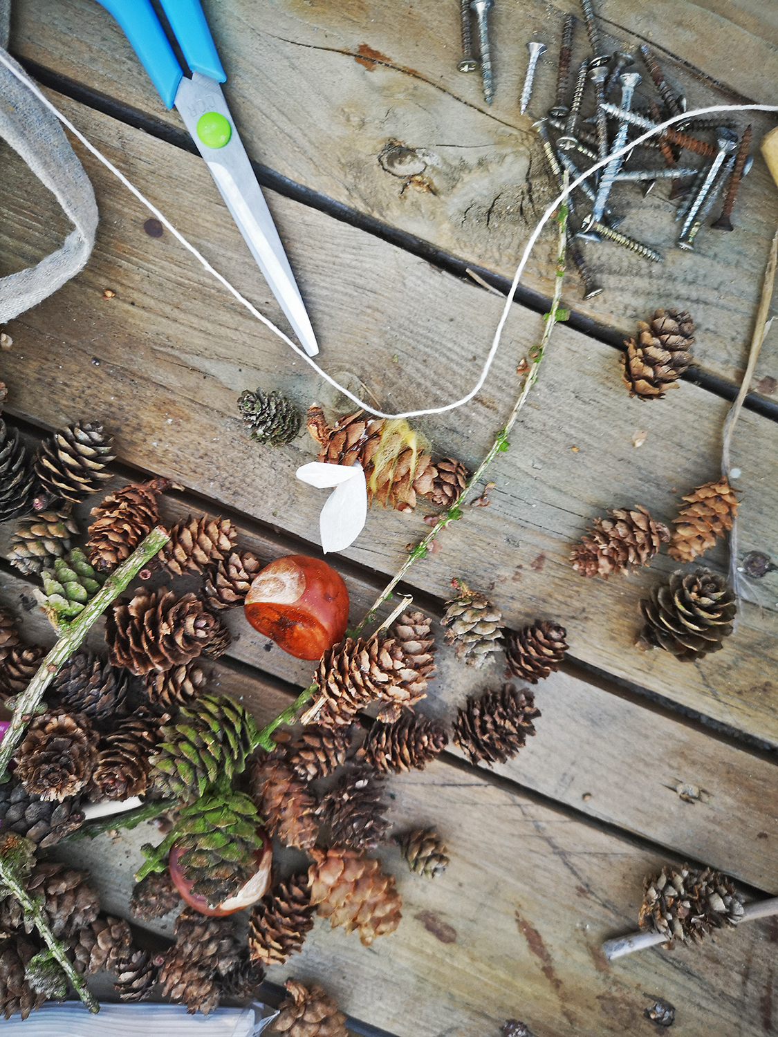 Wildbienen-Nisthilfe bauen und Bienen aus Erlenzapfen Basteln im „Grünen Eck“