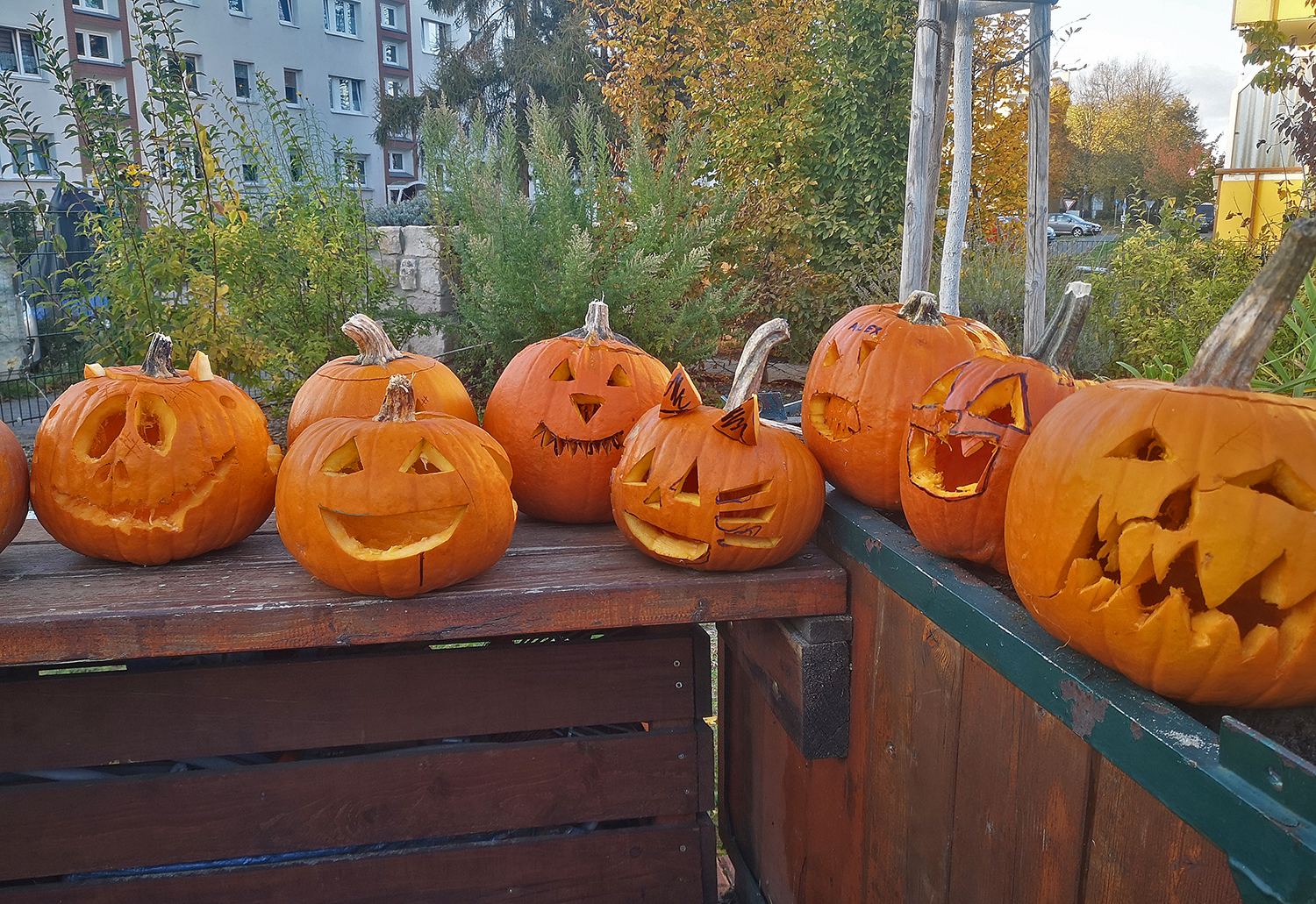 Kürbis schnitzen im „Grünen Eck“ am 23.10.24