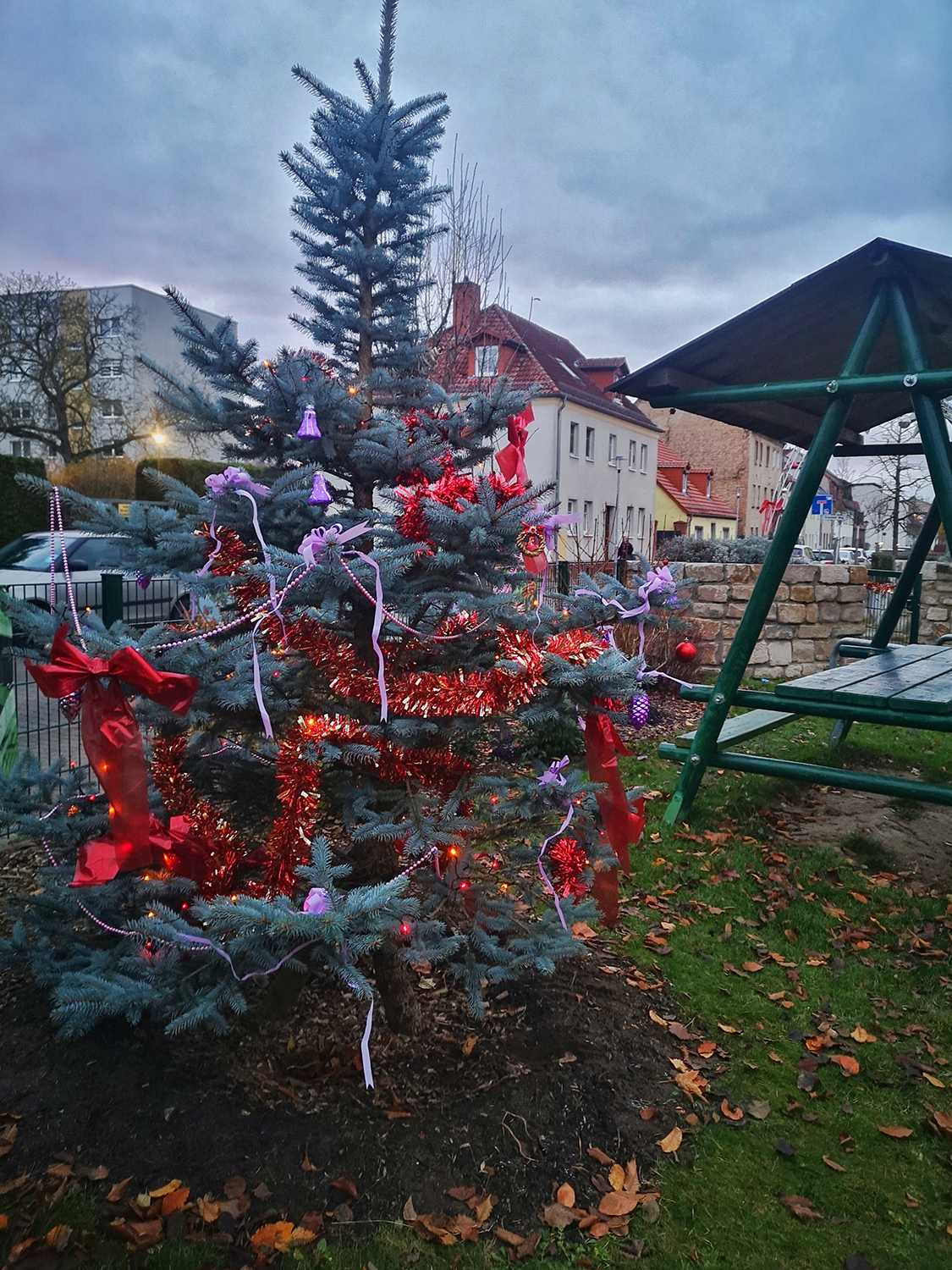 Weihnachtsbaum Aktion im “Grünen Eck” am 27.11.24